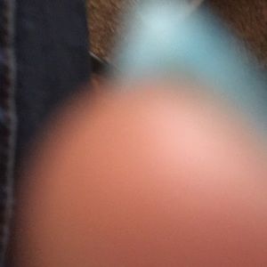 Meet your Posher, Ty